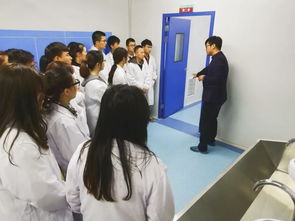 融合匠心與創(chuàng)意 GMP教學(xué)工廠中文化藝術(shù)交流活動(dòng)的組織與探索